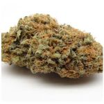 Шишки AK47 (Гидропоника, Бошка) VHQ в Зеленокумске Шишки AK47 (Гидропоника, Бошка) VHQ в Зеленокумске